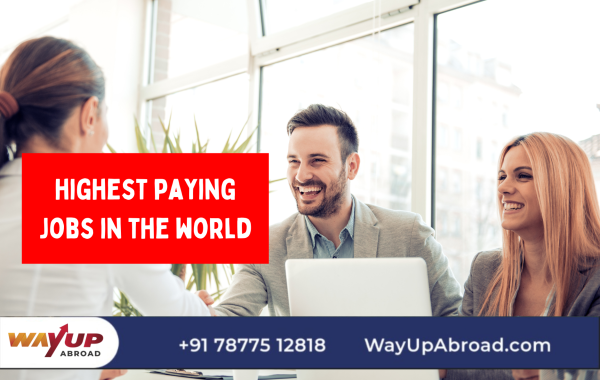 Highest Paying Jobs in the World 2025 - Salary & Details